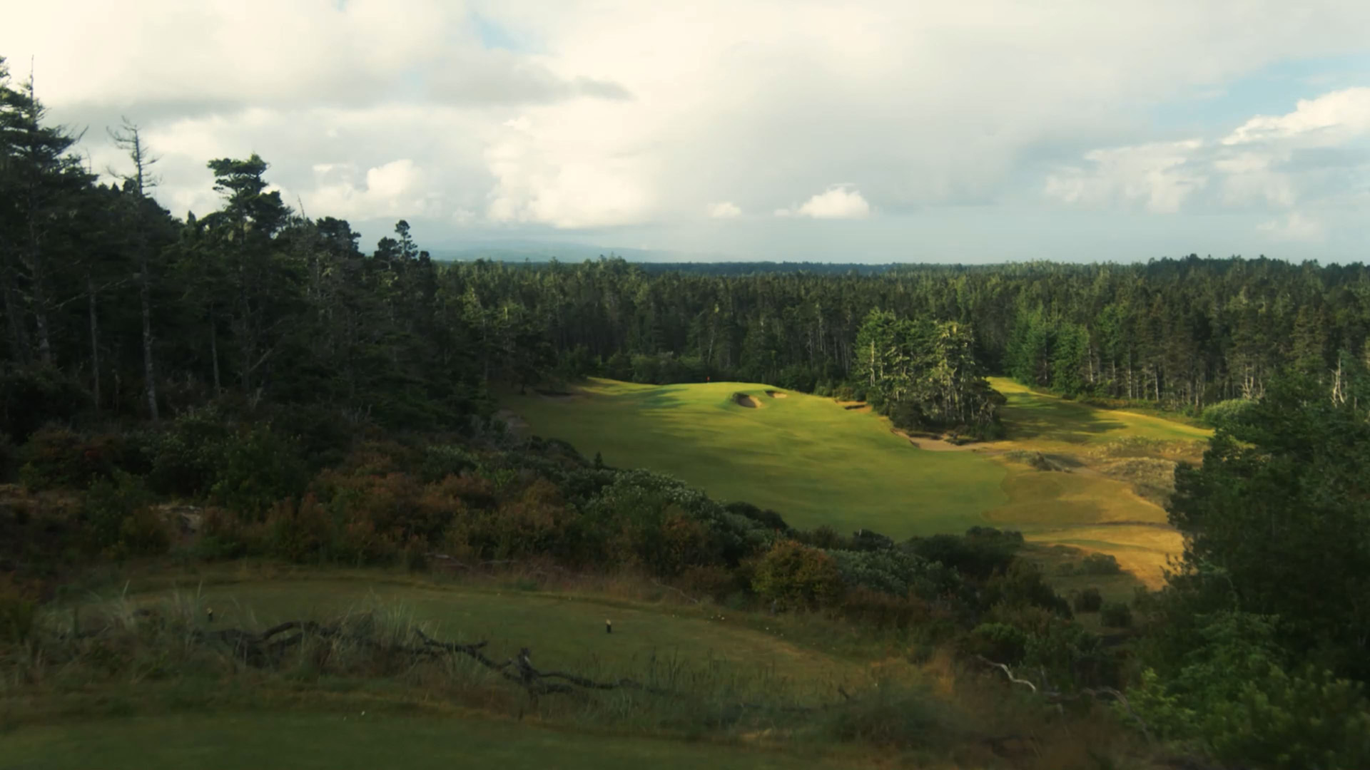 A sunlit fairway at Bandon Trails carving through coastal forest