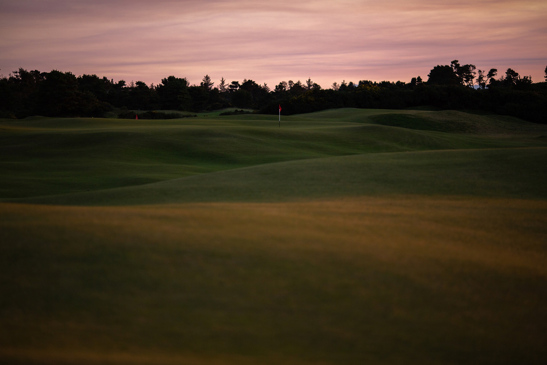 The vast rumpled greens of Old Macdonald under a pink dusk sky
